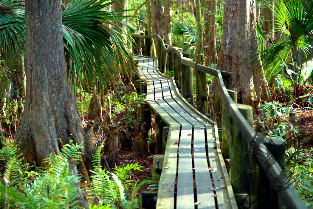Walkway